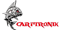 Carptronik