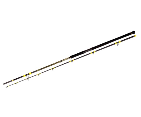 Cпінінговe вудлище Black Cat Passion Pro DX 2.4м 600г