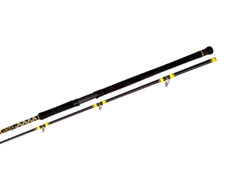 Cпінінговe вудлище Black Cat Passion Pro DX 2.4м 600г