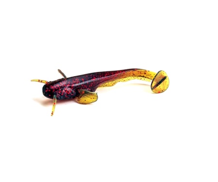 Силікон Fishup Catfish 3" #019 Motor Oil/Red