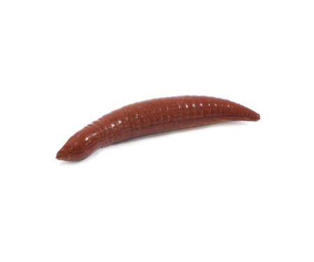 Червь Berkley Gulp! Floating Pinched Crawler 5см Nightcrawler