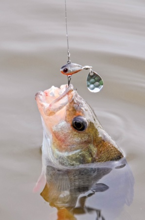 Тейл-спиннер Flagman Pudge Jig Spinner 5г 2404