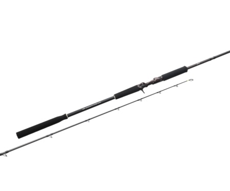Кастингове вудлище Azura '24 XP 83XH 2.51м 100г Casting