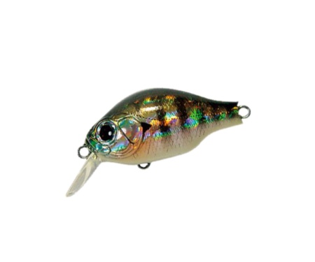 Воблер ZipBaits B-Switcher 1 45F 509