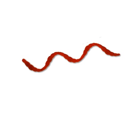 Силікон Fresh Lures BloodWorm 0.75" #001