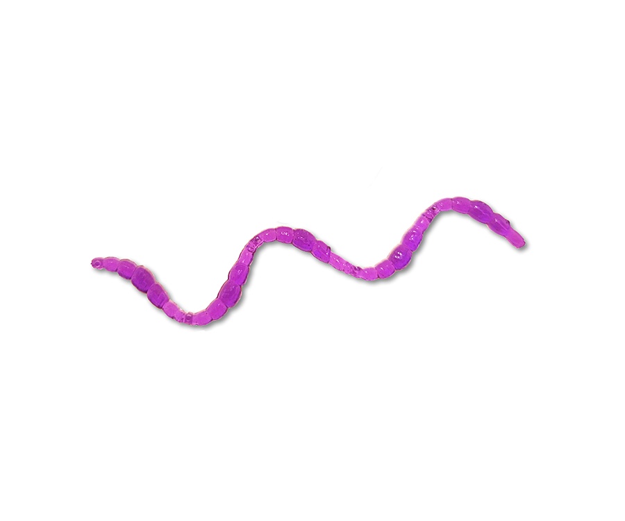 Червь Fresh Lures BloodWorm 0.75" #003