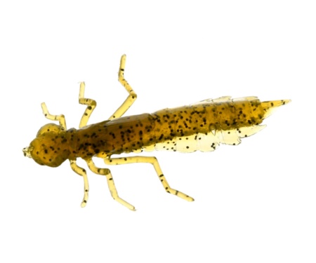 Нимфа Fishup Dragonfly 0.75" #074 Green Pumpkin Seed