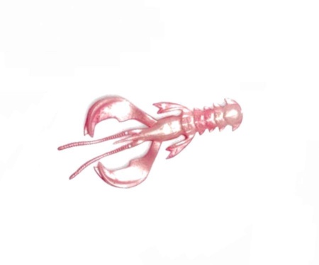 Силікон Crazy Fish Nimble 4" #9d