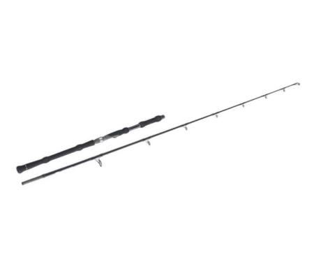 Морське вудлище Fladen Maxximus Nano 2.1м 200-800г