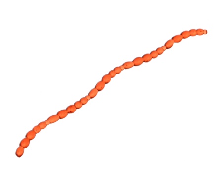 Червь Flagman Blood Worm Red