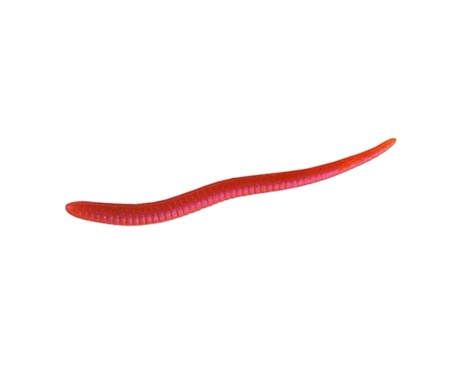 Червяк Berkley Gulp! Earth Worm 5см Wiggler Red