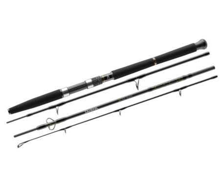 Морське вудлище Daiwa BG Travel Pilk 2.4м 50-200г