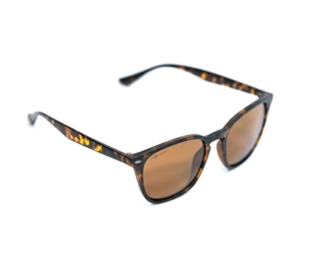 Окуляри Korda Shoreditch Matt Tortoise Shell/ Brown Lens
