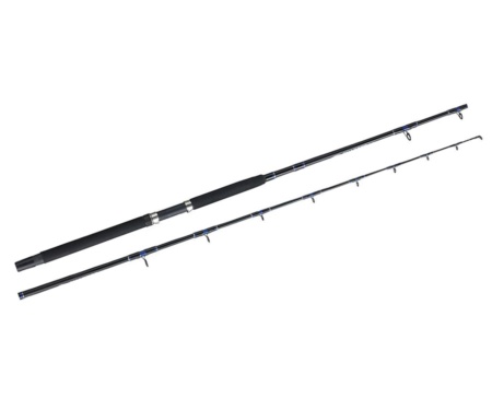 Морське вудлище Fladen Charter Boat 1.95м 150-600г