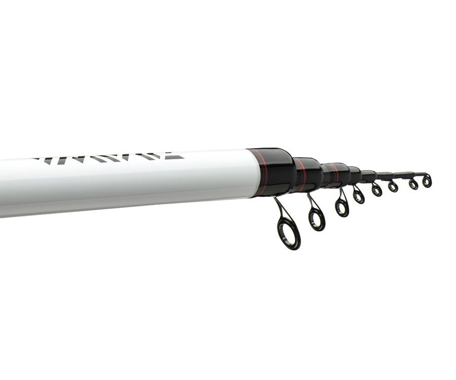 Болонське вудлище Daiwa Ninja Bolo 6м 25г #2