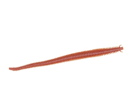 Червь Berkley Gulp! Alive Nereis 6'' Brown Fleck