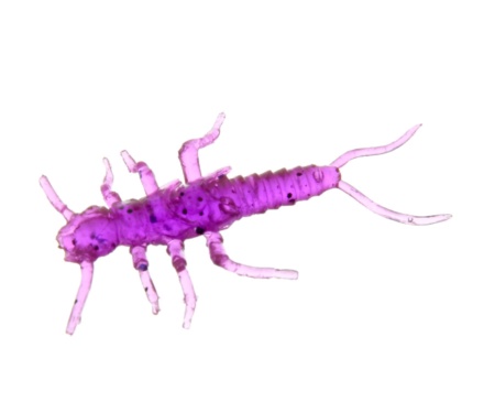 Німфа Fishup Stonefly 0.75" #016 Lox Green Black