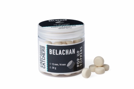 Поп-ап Carp Catchers BELACHAN TOPPERS