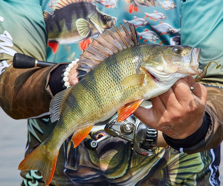 Дышащая джерси мужская Veduta Perch Master XL #5