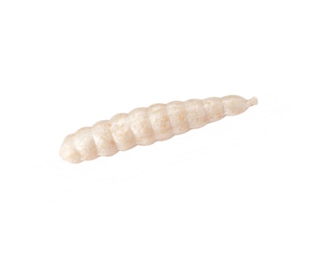 Червяк Berkley Gulp! Alive Honey Worm 1" White