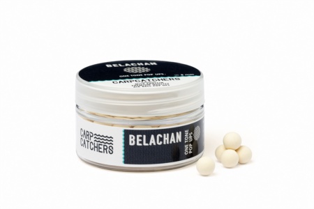 Поп-ап Carp Catchers BELACHAN 8мм