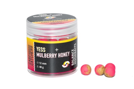 Бойлы Balance Carp Catchers YESS&MULBERRY HONEY 12мм