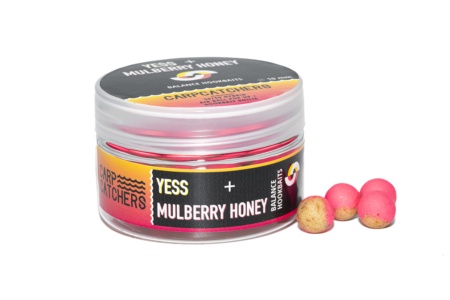 Бойлы Balance Carp Catchers YESS&MULBERRY HONEY 10мм